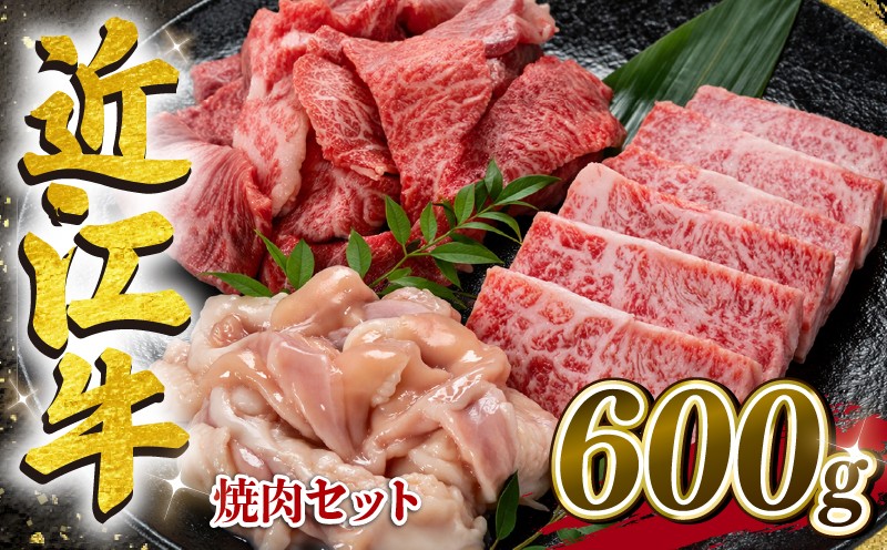 
                  【家計応援】 近江牛 焼肉 セット 計600g 200g×3種 カルビ 切り落とし ホルモン 焼き肉 コプチャン バラ サシ ホソ 切落し きりおとし 牛肉切り落とし 3種 肉 牛肉 黒毛和牛 神戸牛 松阪牛 に並ぶ 日本三大和牛 かるび バラ バラ肉 BBQ  牧場 滋賀県 竜王町 岡喜 ふるさと納税
                