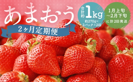 【 2ヶ月定期便 】 福岡県産 あまおう 約540g （ 約270g × 2P ） いちご イチゴ 苺 果物 くだもの フルーツ 果実 果肉 国産 定期 定期配送 冷蔵 【 2027年1月上旬～2月下旬まで順次発送予定 】