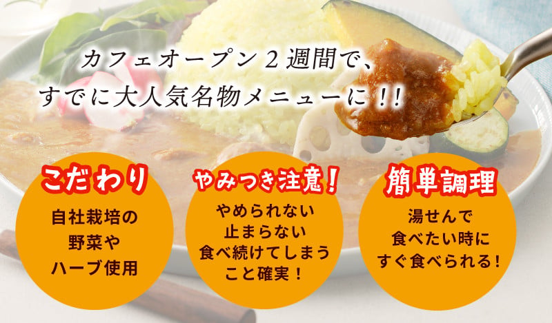 【スピード発送】15種スパイスを使用したSONカフェ特製カレー 200g×3P&玉ねぎのアチャール×1P  いずみピクルス NSW