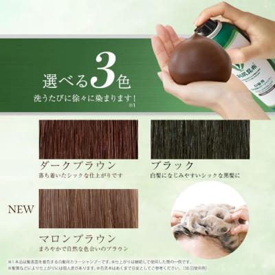 ふるさと納税 糸島市 【全6回定期便】[白髪用]利尻炭酸カラーシャンプー 株式会社ピュール[AZA049] |  | 03