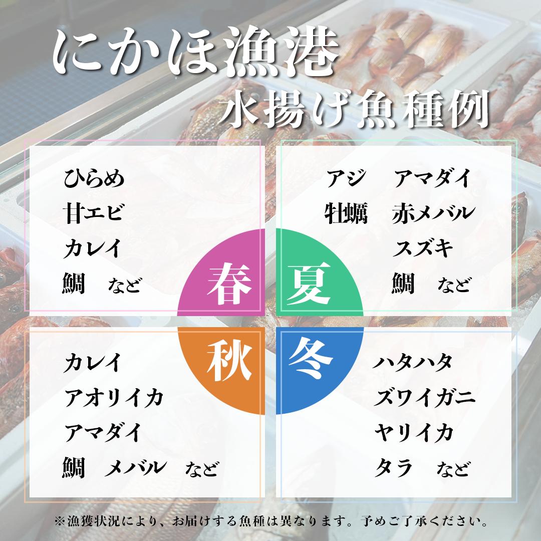 鮮魚 冷蔵 クール便「 開けたらすぐ食べられる下処理済み 海産物 4～5人前 セット 」佐藤鮮魚店【 パック 詰め合わせ 海鮮セット 鮮魚ボックス 海鮮 海の幸 魚介 魚介類 刺身 切り身  秋田県 