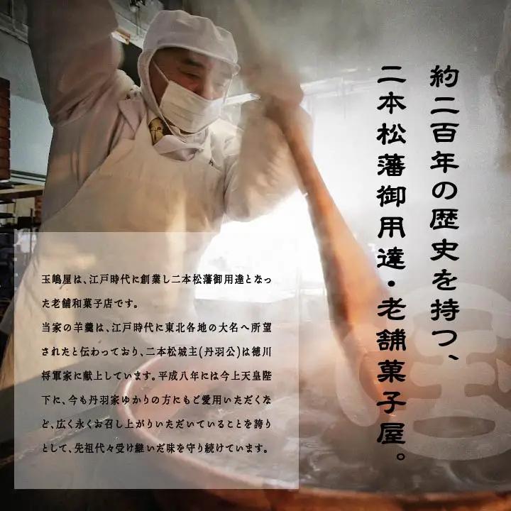 羊羹 本煉羊羹 2棹入 ようかん【株式会社玉嶋屋】