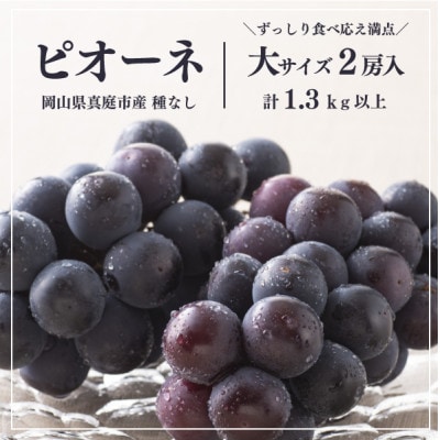 【2026年先行予約】ピオーネ 甘さも濃厚 大サイズ2房入 家庭用(岡山県産)【配送不可地域：離島】