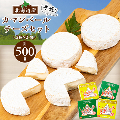 
            2023年6月発送開始『定期便』角谷 カマンベールチーズセット＜125g×4個＞全3回【5141535】
          