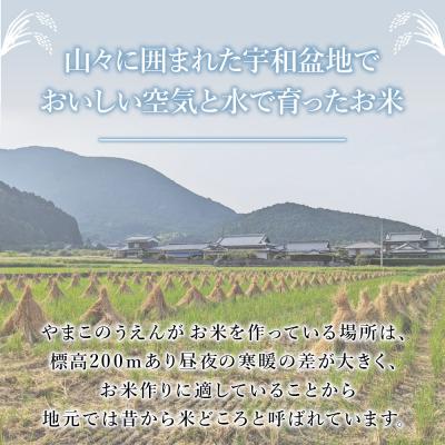ふるさと納税 西予市 【先行予約】<ちほみのり 玄米 10kg > げんまい 米 こめ コメ ご飯 穀物 |  | 03
