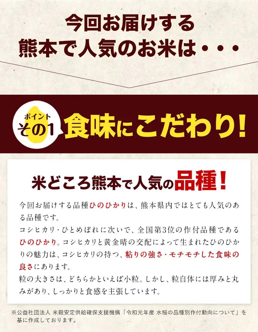 令和7年産 熊本県産 ひのひかり 無洗米 10kg（5kg×2袋）