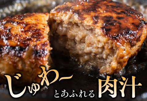 宮崎牛ペッパーハンバーグ 100ｇ 10個入
