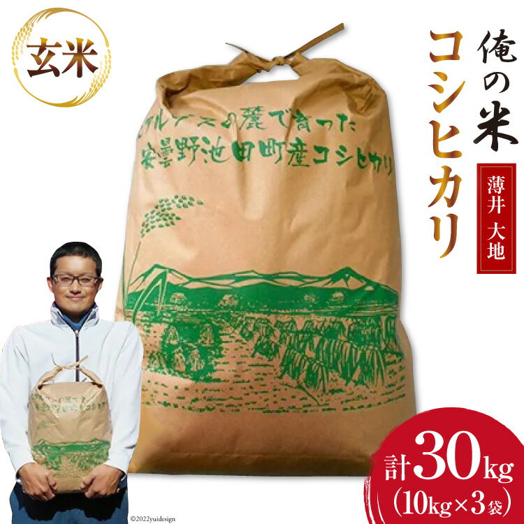 【ふるさと納税】 【俺の米】 定期便 3回 米 令和8年 コシヒカリ 玄米 10kg 計 30kg [薄井 大地 長野県 池田町 48110785] お米 おこめ こめ コメ 白米 ご飯 ごはん おにぎり こしひかり 美味しい もっちり 甘い 農家 直送 10キロ 30キロ 令和8年産 先行予約 新米