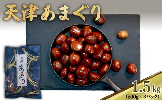 天津 甘栗 選べる 容量 1.5㎏ 京都 栗 くり 完熟 栗 くり 殻付き お菓子 おつまみ 甘露煮 マロン モンブラン 栗ご飯 京都 八幡 八幡市