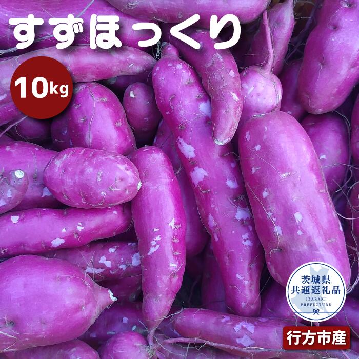 【ふるさと納税】さつまいも「すずほっくり」約10kg (2025年産)（茨城県共通返礼品・行方市産）