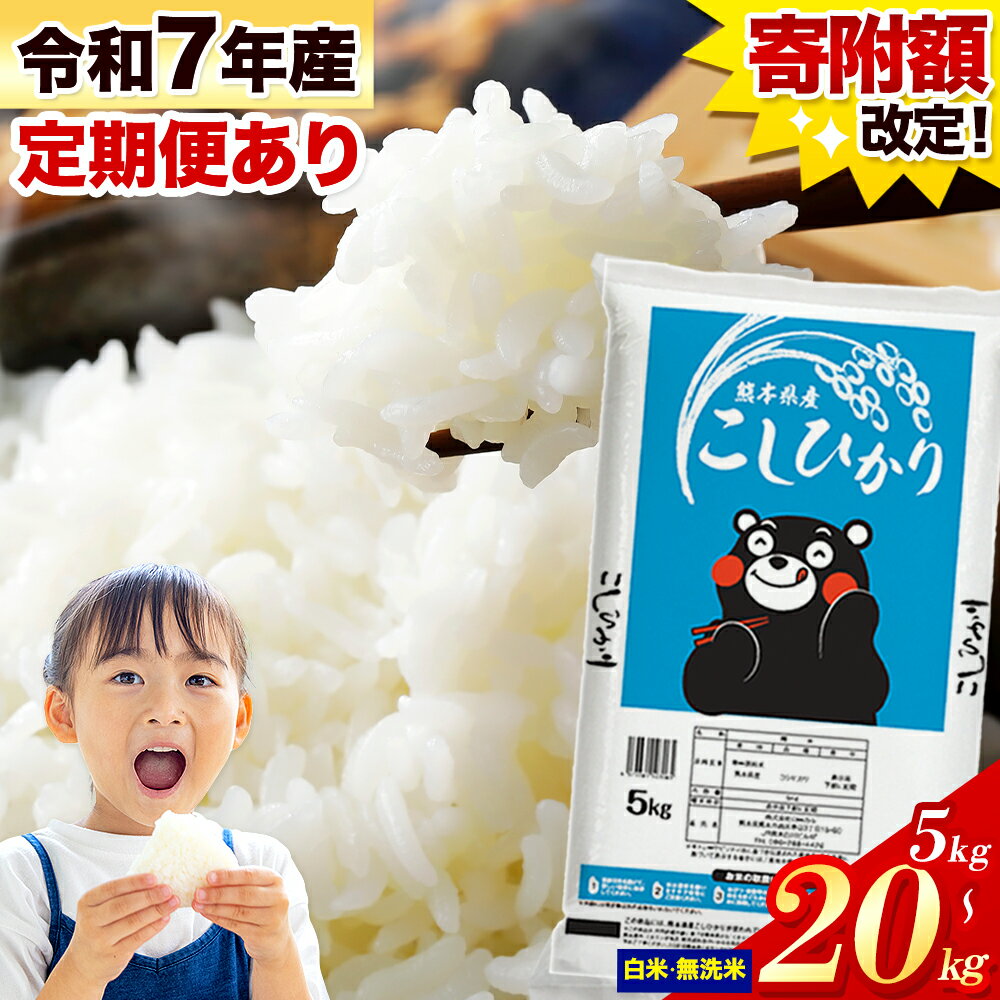【ふるさと納税】令和7年産 無洗米 も選べる こしひかり 5kg 10kg 20kg 定期便 3ヶ月 6ヶ月 12ヶ月 《出荷時期をお選びください》熊本県産 ふるさと納税 無洗米 白米 精米 ひの 米 こめ ふるさとのうぜい コシヒカリ コメ お米 おこめ