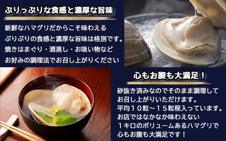 地元で50年続く鮮魚店が目利き！ 九十九里産 天然はまぐり 1kg SMBL001 千葉県 山武市 はまぐり ハマグリ 蛤