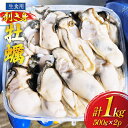 【ふるさと納税】【期間限定発送】 牡蠣 むき身 生食用 500g×2p 計1kg (約26‐44個入) [住喜水産 宮城県 気仙沼市 20564824] 期間限定 冷蔵 新鮮 濃厚 真牡蠣 カキ かき 生牡蠣 魚貝類 生牡蠣 貝 海鮮 魚介類 なべ カキフライ 牡蠣ご飯 魚介