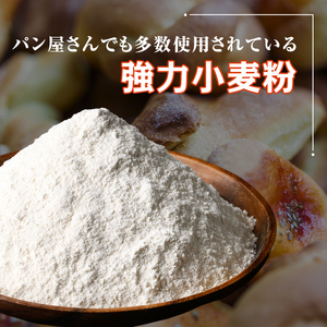 【C7022】＜北海道士別市産小麦＞ たよろの春よ恋 強力粉 ( 1kg×10袋・計10kg) 小麦 小麦粉 強力粉 春よ恋 北海道産 士別市産 国産 国産小麦粉 パン お菓子 料理 1kg 10kg