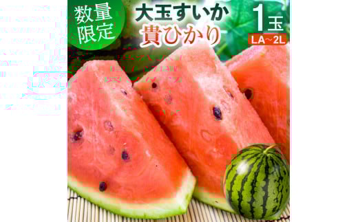 果汁あふれる大玉スイカ「貴ひかり」1玉／6kg～8kg／LA～2Lサイズ