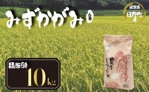 【 令和8年産 米 10kg 】 みずかがみ 米 白米 国産 滋賀県 日野町 農家直送 お米 おこめ こめ 産地直送 ふるさと納税