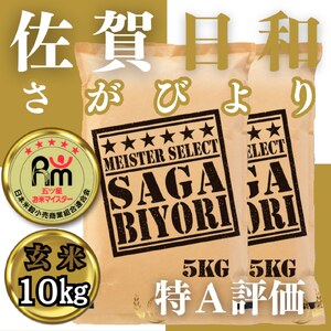 CIB75_【玄米】さがびより１０㎏（５㎏×２袋）【五つ星お米マイスター厳選！】