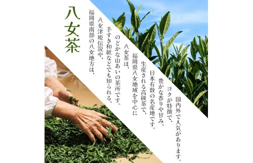 八女茶 深蒸し茶煎茶 100g【株式会社JSE】_HA1866