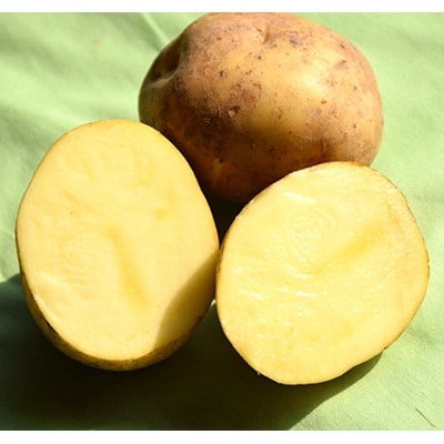 佐藤農場のじゃがいも「とうや」10kg【配送不可地域：離島・沖縄県】