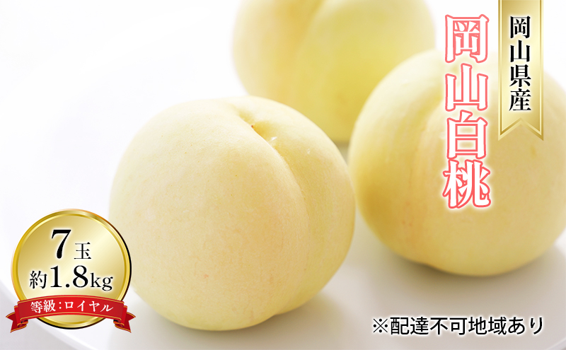 桃 2025年 先行予約 岡山 白桃 7玉 約1.8kg 等級：ロイヤル（1玉 260g以上） もも モモ 岡山県産 国産 フルーツ 果物 ギフト
