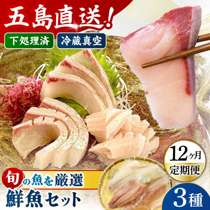 【ふるさと納税】【全12回定期便】金澤仕立て 鮮魚ボックス 旬の魚3種 五島市/金沢鮮魚[PEP014] 冷蔵 真空パック 新鮮 下処理済み 海鮮 刺身 セット