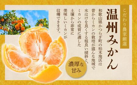 ［先行予約］［2025年11月初旬頃から順次発送予定］ 和歌山県産温州みかん 約5kg（40個～60個）秀品 こだわり農家厳選！［KG31］