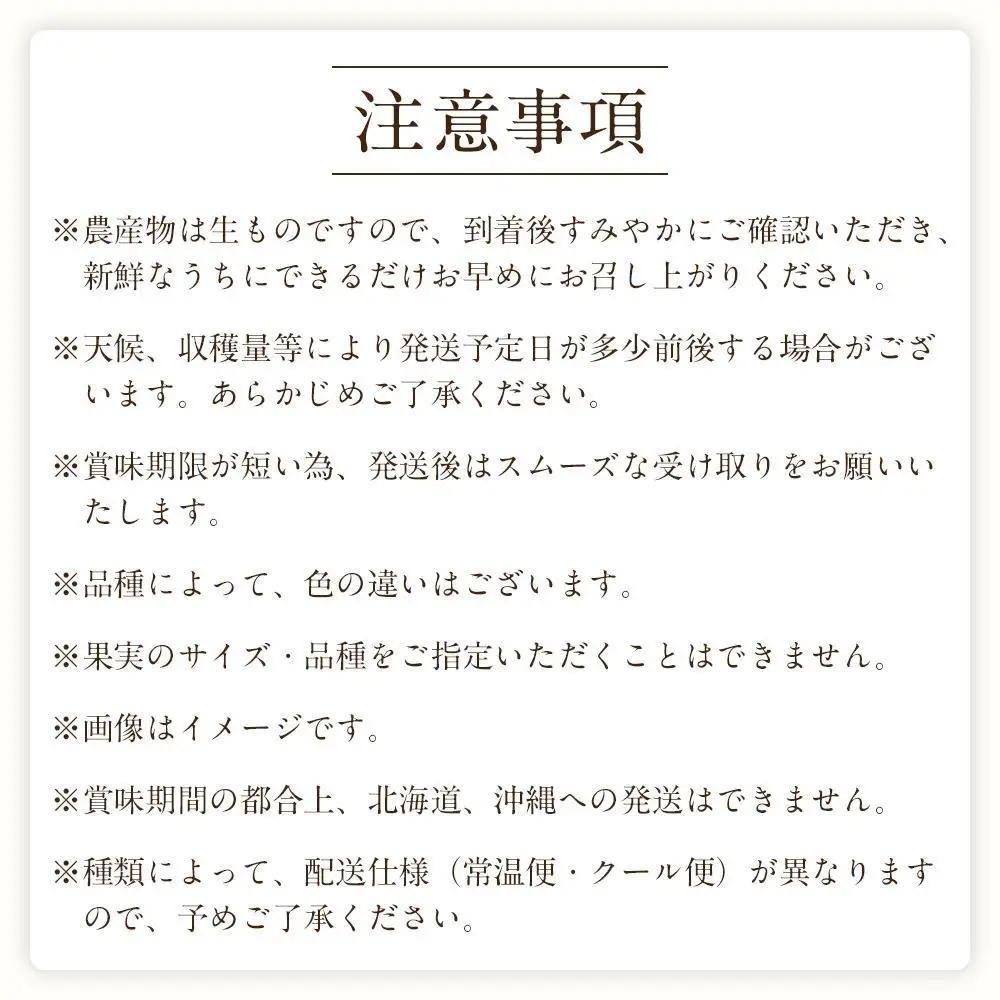 定期便全3回 【7月・8月・9月発送】 和歌山のフルーツをお届け　フルーツ
