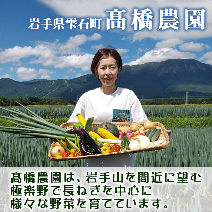 岩手県産 極楽野 長ねぎ 5kg 目安本数 25本 ～ 35本 【高橋農園】／ 長ネギ 長葱 ねぎ ネギ 葱 白ねぎ 白ネギ 白葱 新鮮 野菜 やさい 人気野菜 国産 EM栽培 産地直送 農家直送 季