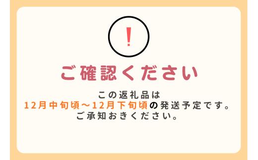 8-W01 GI登録商品 市田柿 約1kg袋 <年内発送ﾌﾟﾗﾝ>