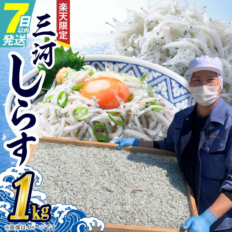 【ふるさと納税】楽天限定 しらす しらす干し 三河しらす 1kg 魚介類 国産海の幸 ご飯のお供 おつまみ しらす丼 サラダ ギフト 贈答用 お歳暮 お取り寄せ お取り寄せグルメ 食品 愛知 送料無料