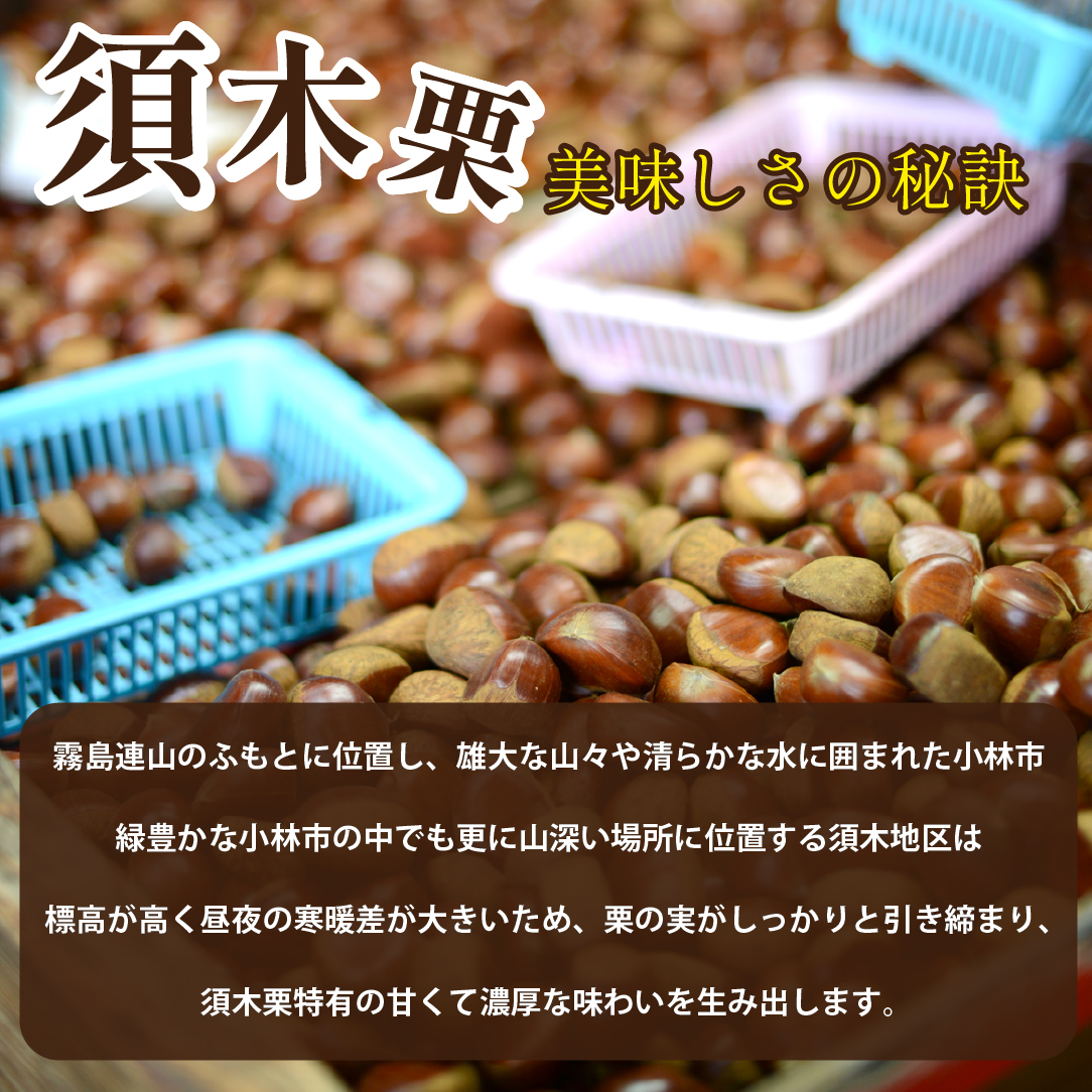【E215】【低温熟成】ブランド栗「須木栗」3Lサイズ 2kg程度（生栗 マロン 栗 果物 フルーツ 限定 秋 旬）_イメージ2