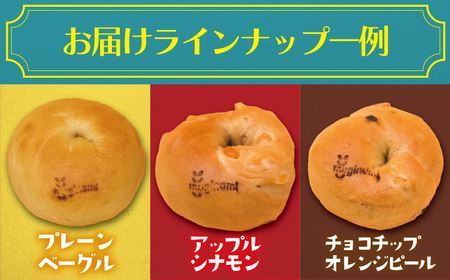 ベーグル 12個 詰め合わせベーグル 「muginami BAKERY」