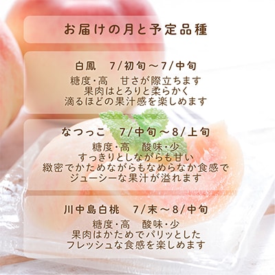 先行受付!　旬の桃　(特秀品)　約2kg　6～9個入【配送不可地域：離島】
