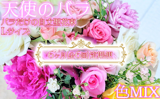 【天使のバラ】全6回定期便 薔薇だけの自立型花束Lサイズ（色MIX）＜141-842＞