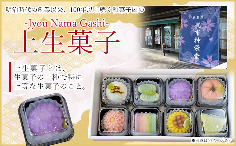 和菓子 上生菓子 8個
