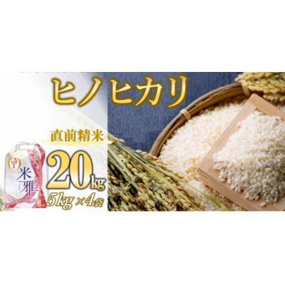 ふるさと納税 西脇市 兵庫県産・令和7年産【ヒノヒカリ】白米　20kg(5kg×4)