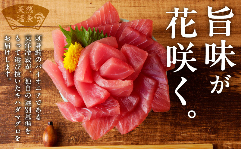 【数量限定】天然キハダマグロ 合計 1kg 柵 5-7本【冷凍まぐろ 訳あり サイズ不揃い海鮮丼 人気 オススメ 小分け 冷凍】 015B291_イメージ2