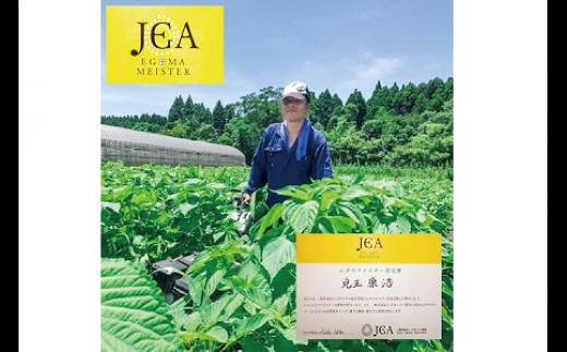 【毎日の美容と健康に】生えごま油（70g×2本）<1-240>純度100％ ドレッシング 食用油 宮崎県西都市
