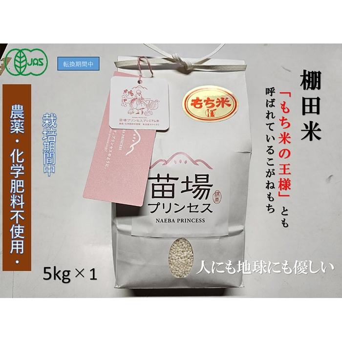 【ふるさと納税】 もち米 5kg 魚沼産 こがねもち 苗場プリンセス 有機JAS認証米 | 精米 コガネモチ 餅米 モチ米 ブランド米 おすすめ 人気 ギフト プレゼント 新潟県 津南町