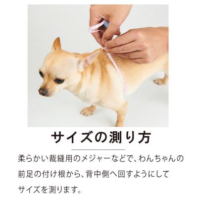 ふるさと納税 八潮市 メガネハーネス【LLサイズ】サムシングブルー ゴールド金具(本革製) kazama premium |  | 01