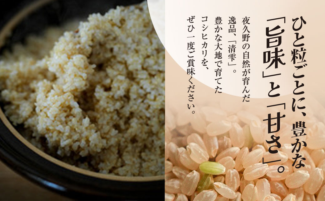 ＜6ヶ月定期便＞＜令和7年産＞ 京都夜久野産 清雫(せいな) コシヒカリ 玄米 (10kg×6回) 【fc-DB005-C06】【合同会社夜久野清雫】