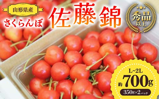 【先行予約 令和7年度発送】山形県産 さくらんぼ 佐藤錦 約700g（350g×2パック）秀品以上 L～2Lサイズ FSY-0690