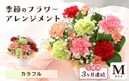 定期便 ≪3ヶ月連続お届け≫ 選べるカラー 季節のフラワーアレンジメント M (カラフル) 【お花 フラワー アレジメント 花束 ギフト 生花 プレゼント 花束 花 記念日 敬老の日 お祝い】 [C-20701_03]