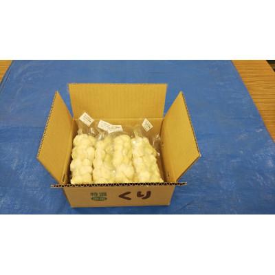 ふるさと納税 恵那市 冷凍むき栗　えな笠置山栗園産日本栗カット　250g×4パック