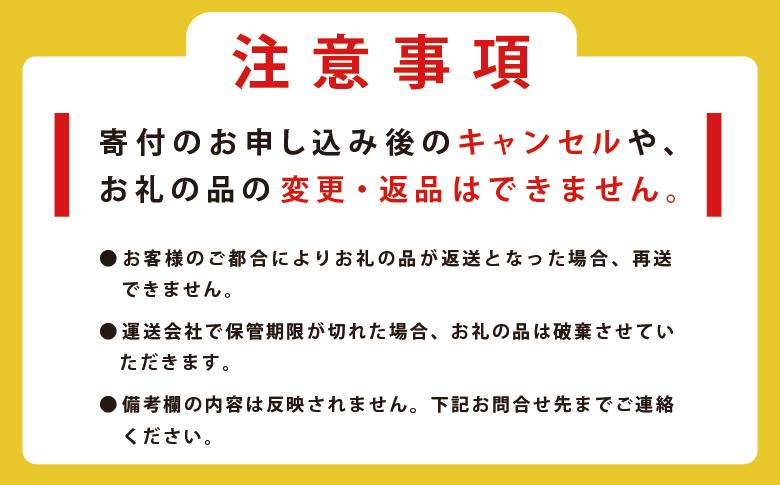 ≪12月22日決済分まで年内配送≫北海道産しじみ１㎏（２５０g×４）シジミ　貝　魚介類　オホーツク　湧別町　北海道