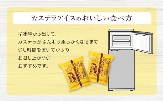 長崎カステラアイス （ バニラ ） 計6個 長崎カステラ カステラ かすてら アイス カステラアイス お菓子 菓子 おかし 洋菓子 スイーツ 冷凍