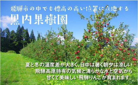 【12月~1月上旬発送】《令和8年産》りんご 訳あり 5kg / 果物 フルーツ 黒内果樹園 [DI030-26]