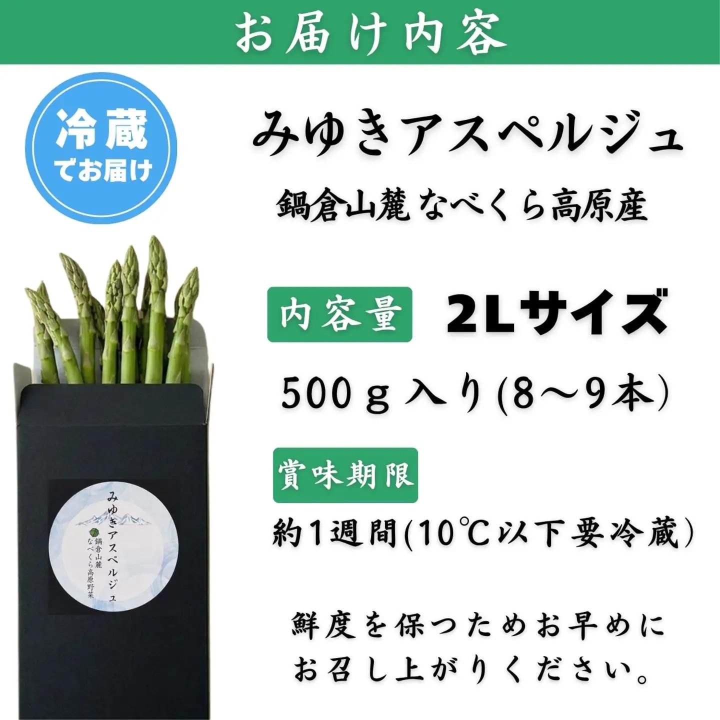 【令和9年産先行予約】アスパラガス みゆきアスペルジュ 2Lサイズ 500g入り(8〜9本)《出荷時期：2027年5月中旬頃〜》株式会社ForestDoor  (Ce-003)