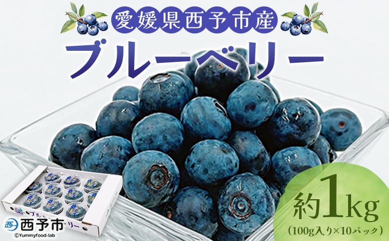
            ＜愛媛県西予市産 ブルーベリー 約1kg（100g入り×10パック）＞ ぶるーべりー 果実 果物 生 くだもの フルーツ 国産 小分け ジャム スムージー 株式会社フジ・アグリフーズ 愛媛県 西予市【冷蔵】『7月～8月末迄に順次出荷予定』
          