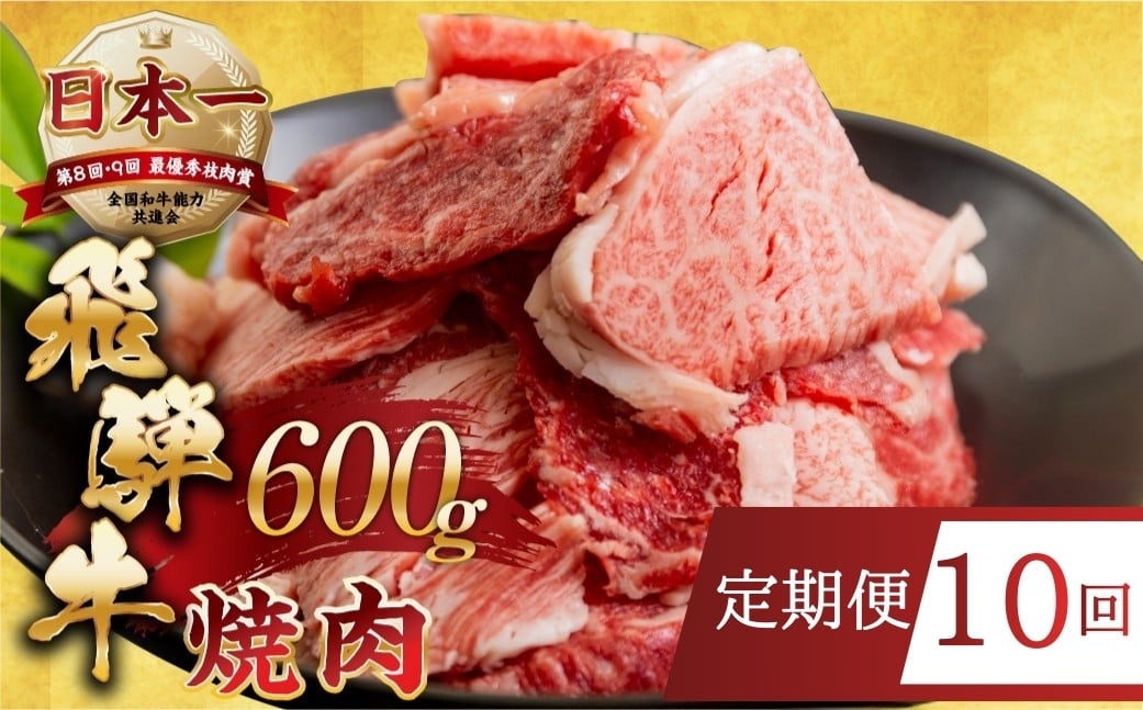 
              【定期便】【訳あり】飛騨牛 焼肉 切り落とし 600g 10回定期便 | 牛肉 肉 切落し わけあり ワケアリ 不揃い 冷凍 本巣市 トキノ屋 食品 訳有 焼肉セット 焼肉用  [mt505] 15000円 1月 2月 3月 4月 5月 着日指定可 すぐ届く 12月 発送 選べる  
          